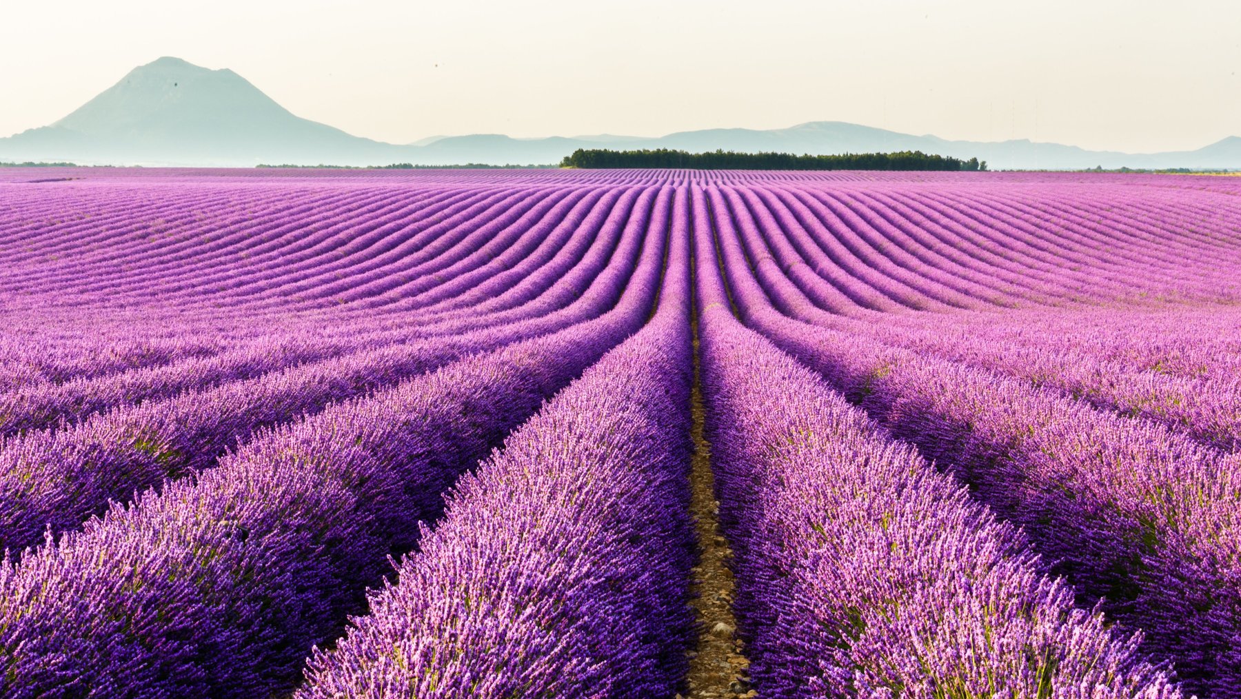 Provence